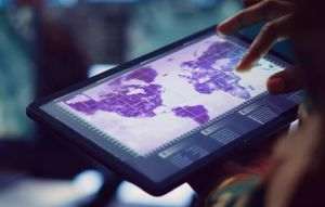 Studiu Accenture: Peste 60% dintre organizaţiile din UE investesc în inteligenţa artificială dezvoltată local